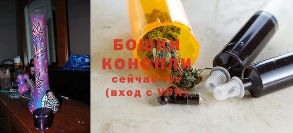 ГАЛЛЮЦИНОГЕННЫЕ ГРИБЫ Кукмор
