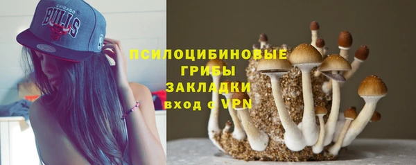 прущий лед Краснослободск