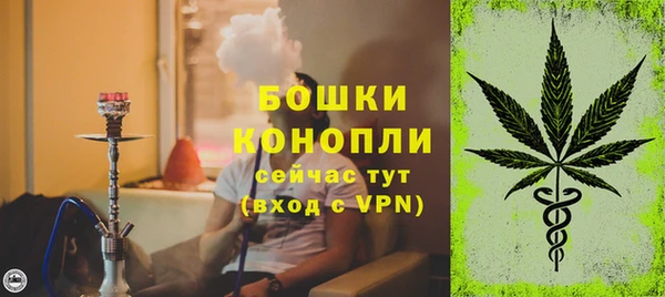 ГАЛЛЮЦИНОГЕННЫЕ ГРИБЫ Кукмор
