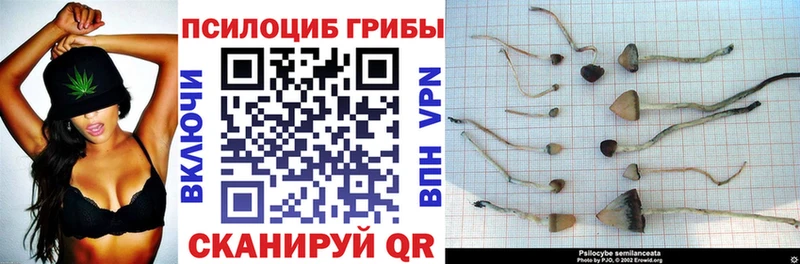 Галлюциногенные грибы мицелий  Купить где  Тетюши 
